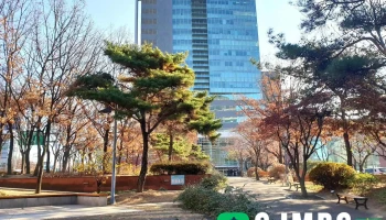 Mbc 대구문화방송 - 대구광역시