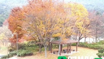 고령군농업기술센터 - 고령군
