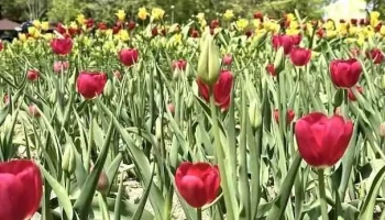고양 꽃전시관 - 고양시