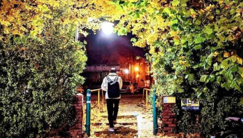 과천시 - 과천시