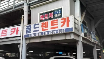 궁전라벤더 - 대구광역시