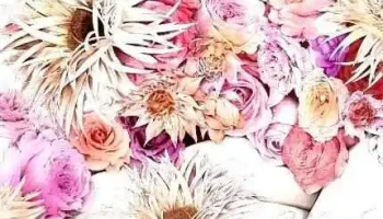 다이아몬드 - 경기도 광명시 다이아몬드 - 경기도 광명시