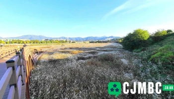 대명유수지 - 달서구