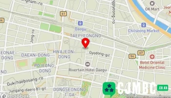 대지레코드 - 대구광역시 대지레코드 - 대구광역시