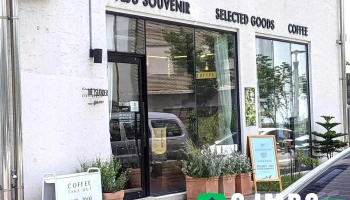 더 아일랜더 - 제주특별자치도 제주시 더 아일랜더 - 제주특별자치도 제주시