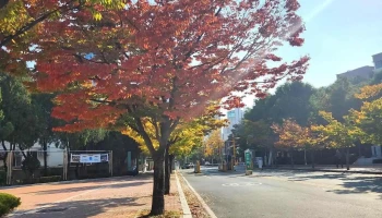 부산교육대학교 - 부산광역시