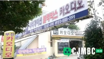 부산카오디오 - 부산광역시