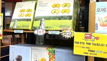 샵제주 - 제주특별자치도 제주시 샵제주 - 제주특별자치도 제주시