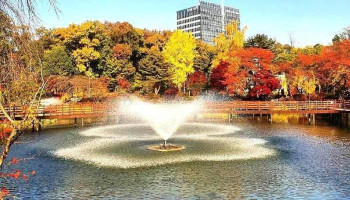서울과학기술대학교 붕어방 - 서울특별시