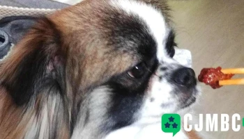 신길카오디오용품점 - 경기도 안산시 신길카오디오용품점 - 경기도 안산시