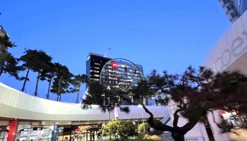 애플코리아 (Apple services Pte .,Ltd) - 서울특별시