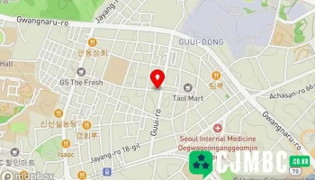에스게러지 - 서울특별시