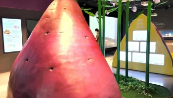 영도 조내기 고구마 역사기념관 - 부산광역시 영도 조내기 고구마 역사기념관 - 부산광역시