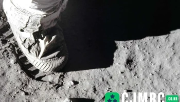 오브라운 - 서울특별시 오브라운 - 서울특별시