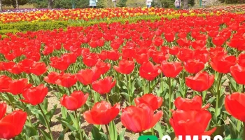 울산대공원 - 울산광역시