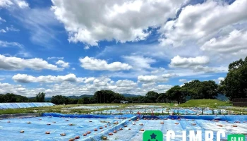 월성 - 경상북도 경주시