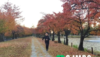 육군3사관학교 - 경상북도 영천시