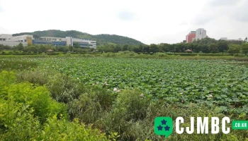 인간중심 생산기술연구소 - 경기도 안산시