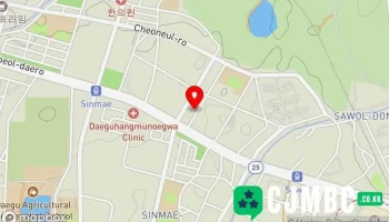 입어보기 - 대구광역시