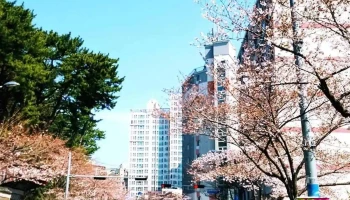 (재단)영남건설기술교육원 - 부산광역시 (재단)영남건설기술교육원 - 부산광역시