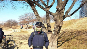 잼비디오 - 대구광역시