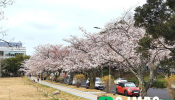 제주대학교 아라캠퍼스 - 제주특별자치도 제주시