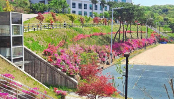 중부대학교 고양캠퍼스 - 경기도 고양시