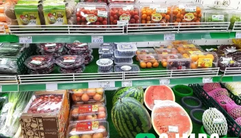 하나로마트 거진농협 - 강원특별자치도 고성군 거진읍 거진리 282-3