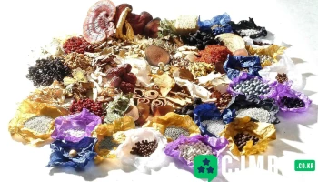 한국특허상품개발원 - 부산광역시 한국특허상품개발원 - 부산광역시