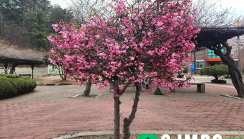 한국폴리텍6대학 포항캠퍼스 - 경상북도 포항시