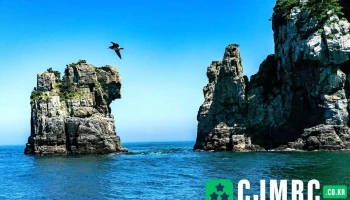 해금강 - 경상남도 거제시 해금강 - 경상남도 거제시