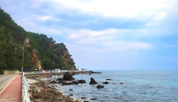 헌화로 해안도로 - 강원특별자치도 강릉시 헌화로 해안도로 - 강원특별자치도 강릉시