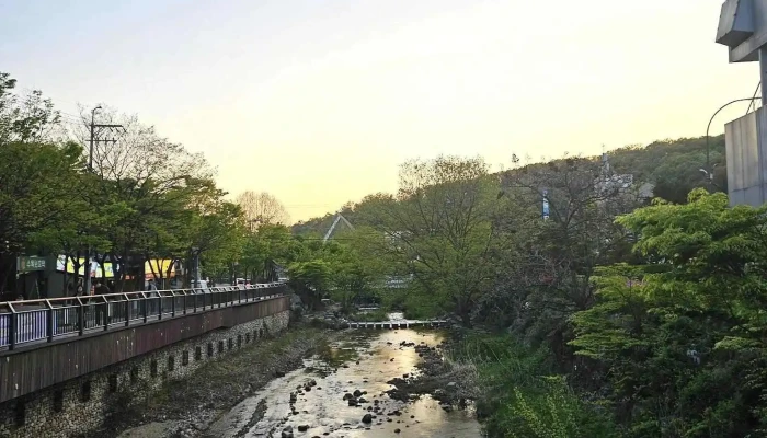 Anyangyesulgongweon Coesin - 안양시