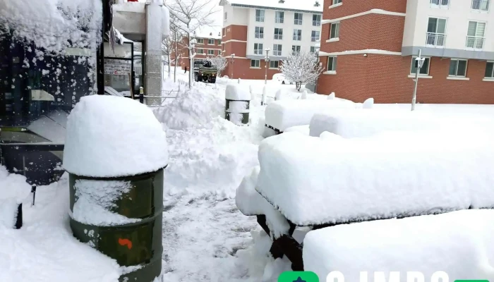 Cu 고성102기갑여단점 - 강원특별자치도 고성군 토성면 고성대로 415