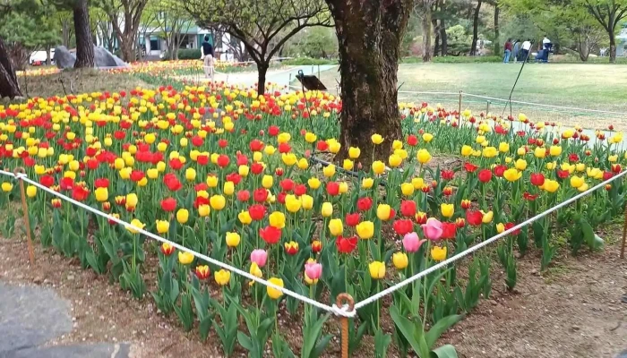 Daemyeongyusuji Coesin - 달서구