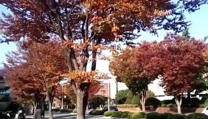 Gugribgongjudaehaggyo Ceonankaempeoseu Dongyeongsang - 천안시