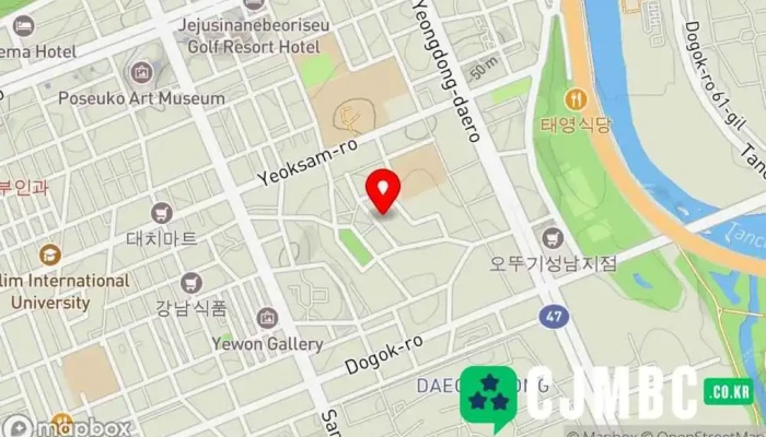Koseuteomidieo 지도 - 강남구