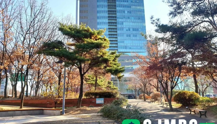Mbc 대구문화방송 - 대구광역시