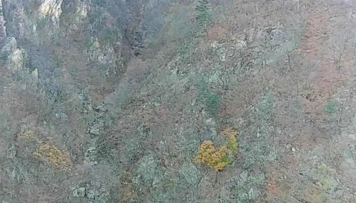 Seolagsansogongweon Dongyeongsang - 속초시