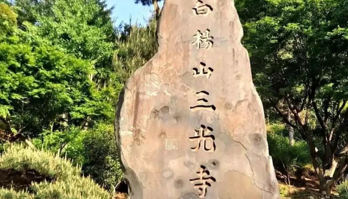 Seomyeongyocaro Seomyeonroteori Coesin - 부산진구