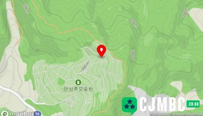 Sinjiun Peuranceseuka 지도 - 안성시