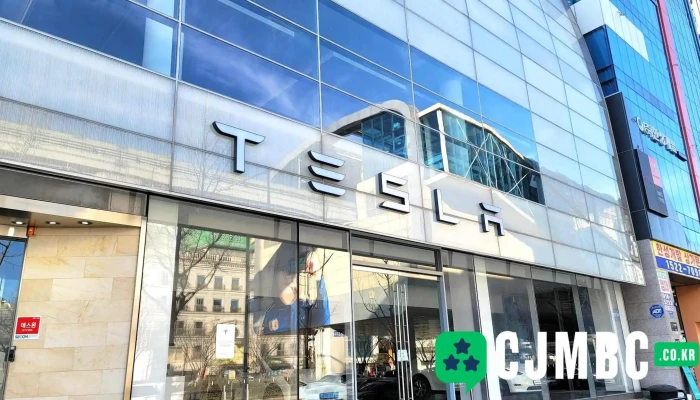 Tesla 대구 스토어 - 대구광역시