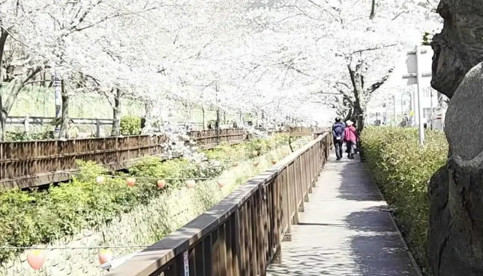 Yeojwaceon Beosggoc Dongyeongsang - 창원시
