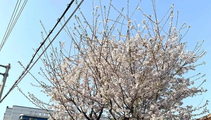 경기도의정부교육지원청 - 경기도 의정부시