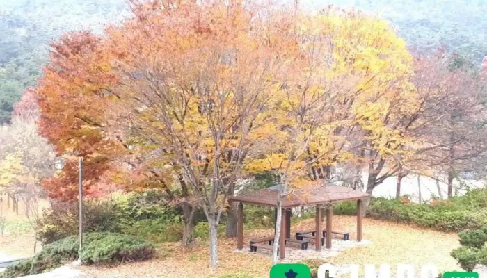 고령군농업기술센터 - 고령군
