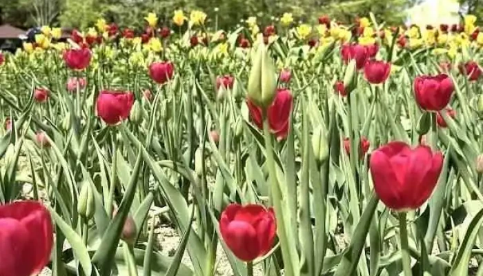 고양 꽃전시관 - 고양시