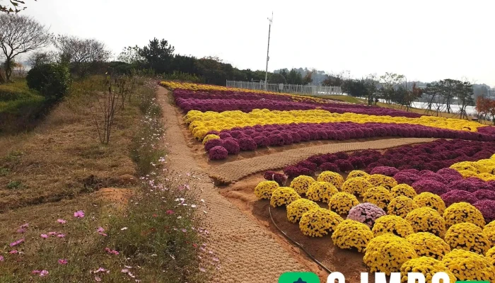 광주광역시농업기술센터 - 광주광역시