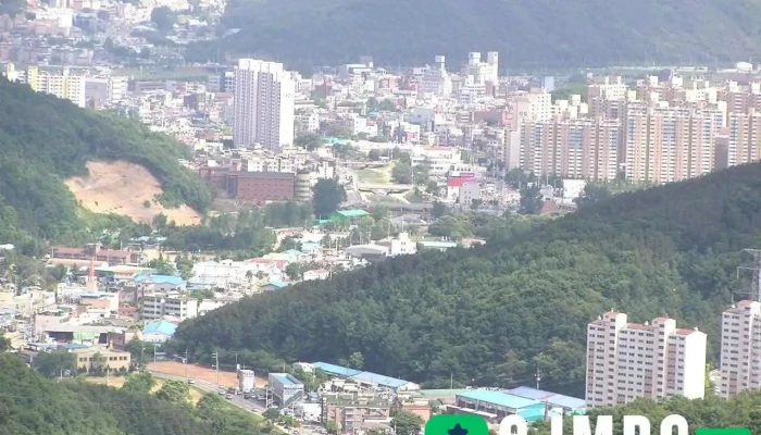 광주시 - 광주시