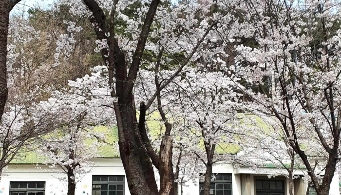 동해시농업기술센터 - 강원특별자치도 동해시