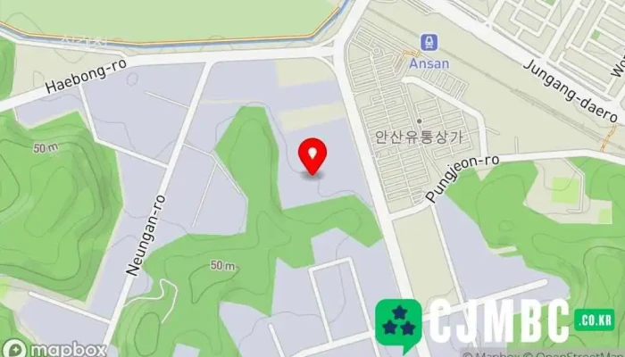 라파시스템 - 안산시